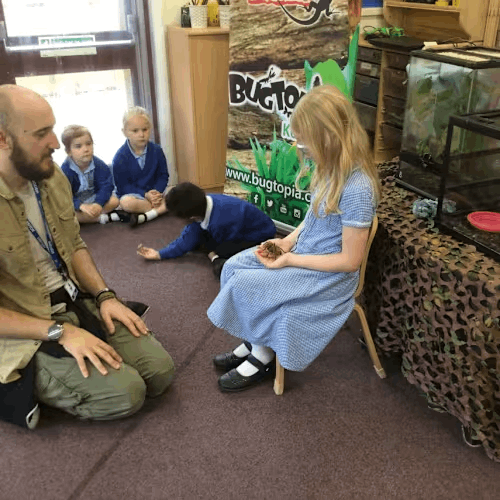 My Image description